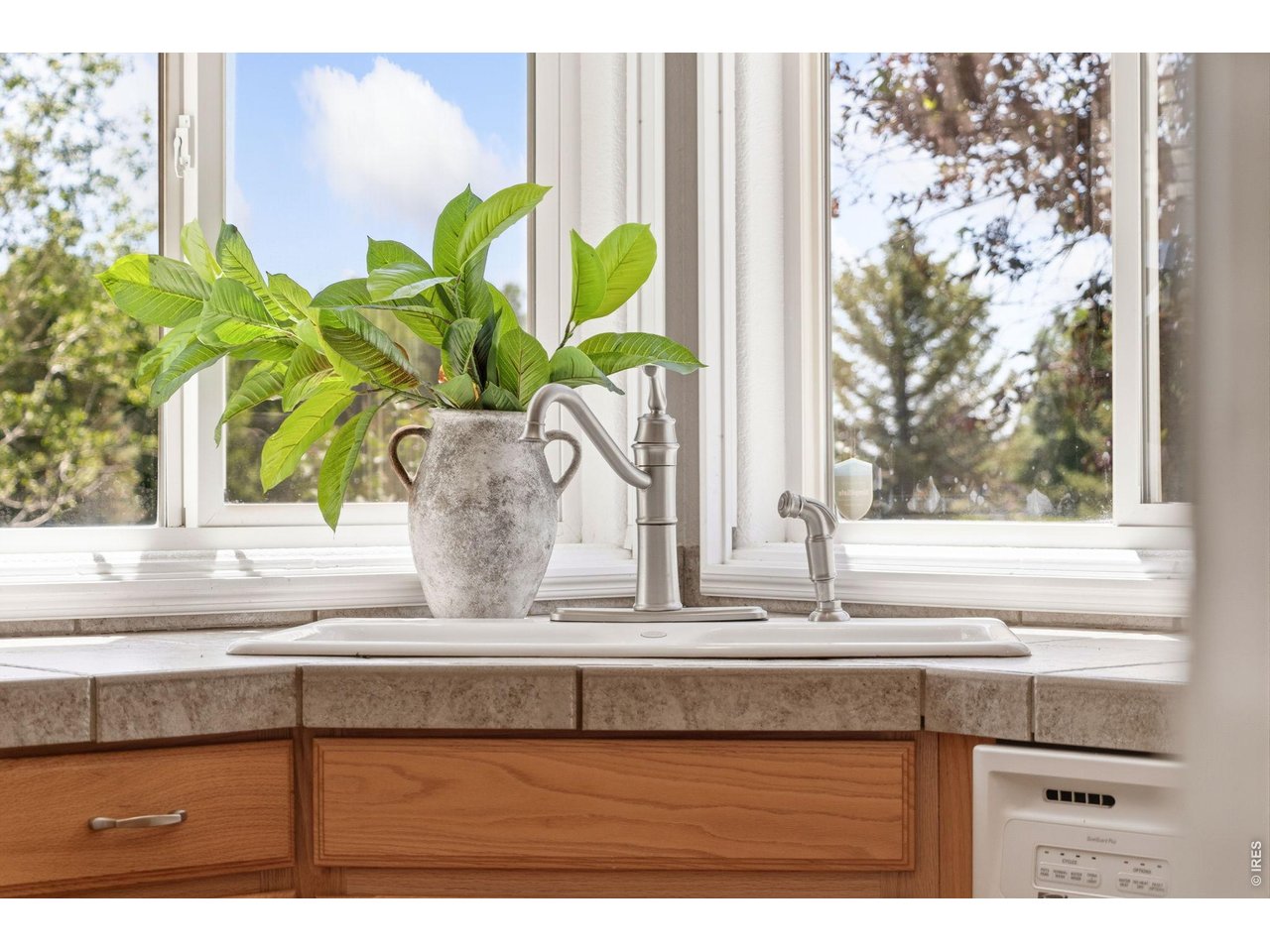 Kitchen Window