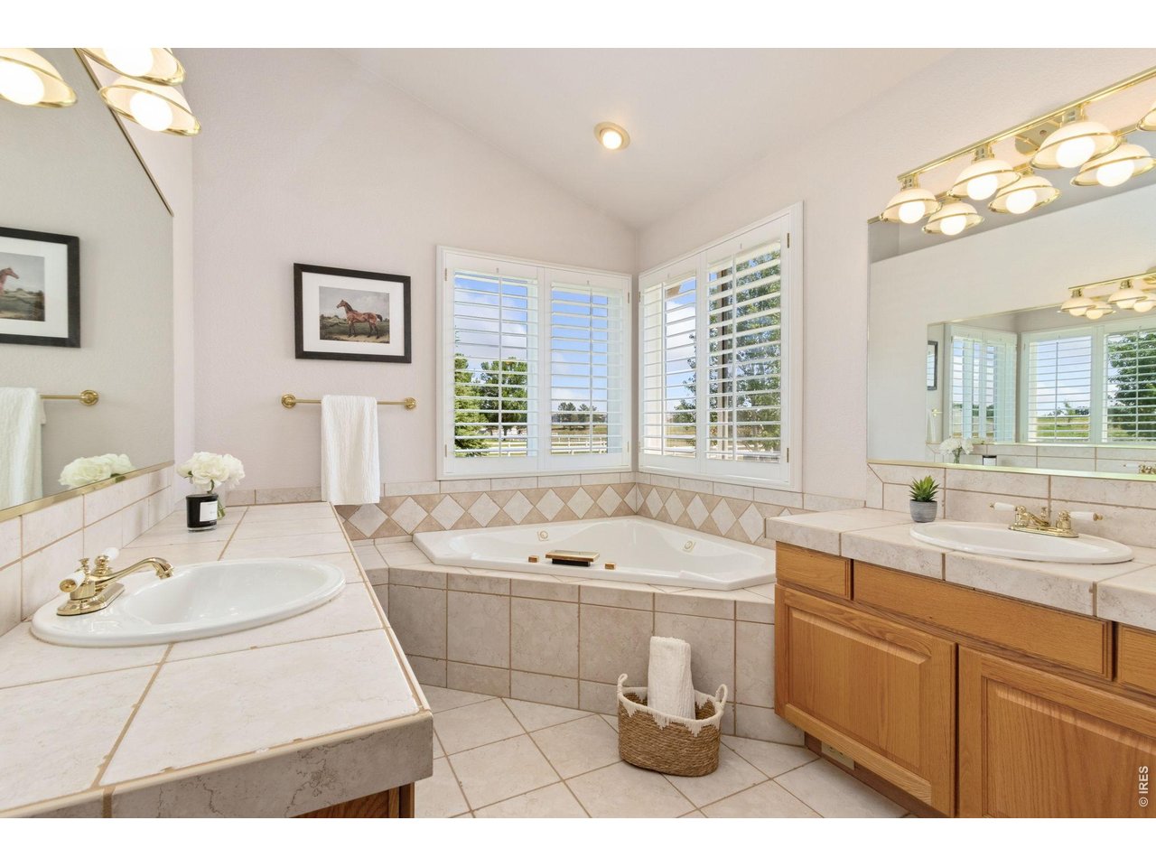 Primary Bedroom En-Suite 5 Piece Luxury Bathroom