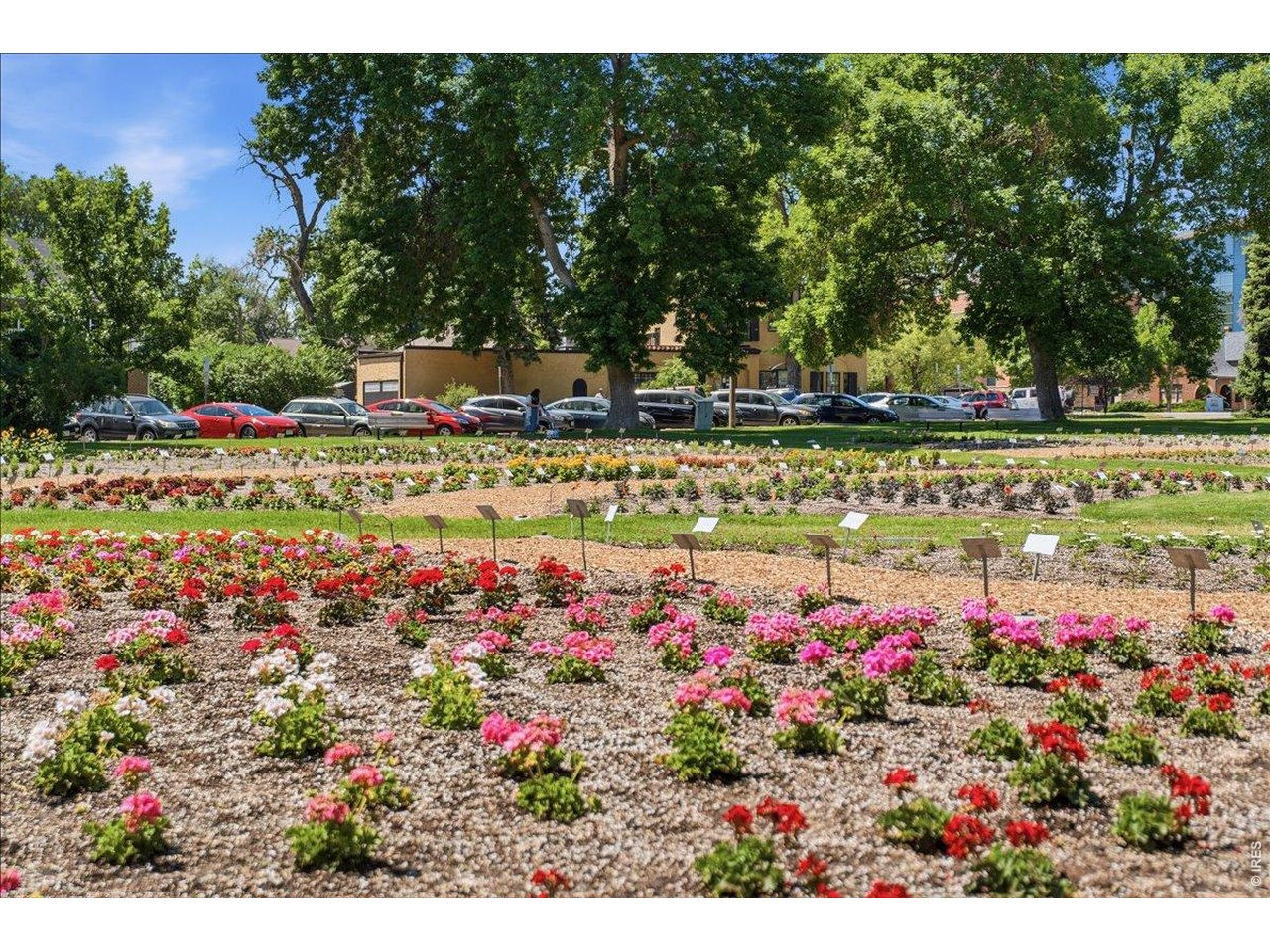 Property Photo 29 Around the corner from the CSU Flower Gardens