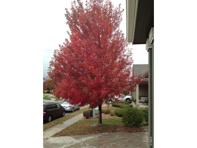 Property Photo 31 Fall view