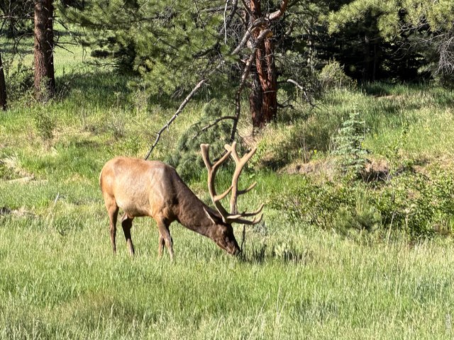 Property Photo 24 Enjoy abundant wildlife