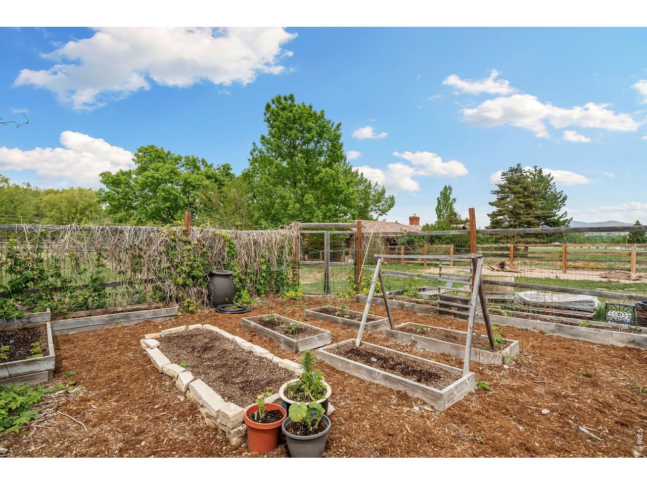 Fenced garden area - ready for growing veggies, featuring planting beds and optimal southern exposure for sunlight.