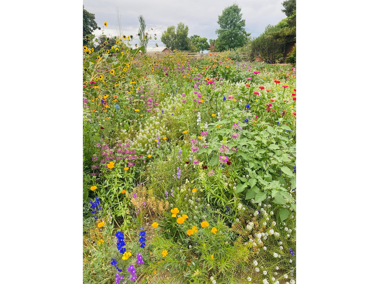 Certified Pollinator Garden to support native bees and butterflies, ensuring a vibrant and sustainable outdoor space
