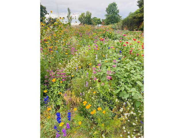 Property Photo 48 Certified Pollinator Garden to support native bees and butterflies, ensuring a vibrant and sustainable outdoor space