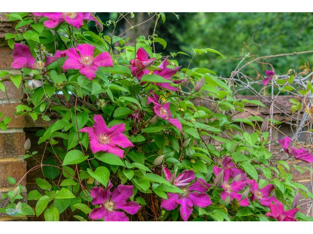 Property Photo 34 