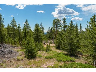 410 Pearl Creek Rd Red Feather Lakes, CO 80545