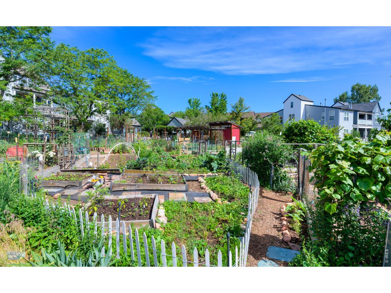 Community Gardens next door