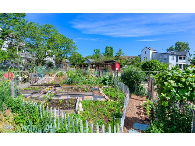 Property Photo 28 Community Gardens next door