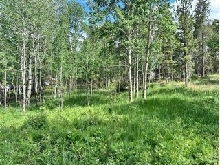 293 Aspen Cir Black Hawk, CO 80422