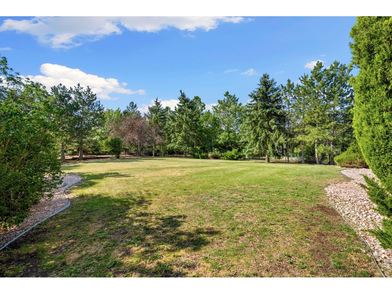 Property Photo 3 Backyard Lot .5 acres
