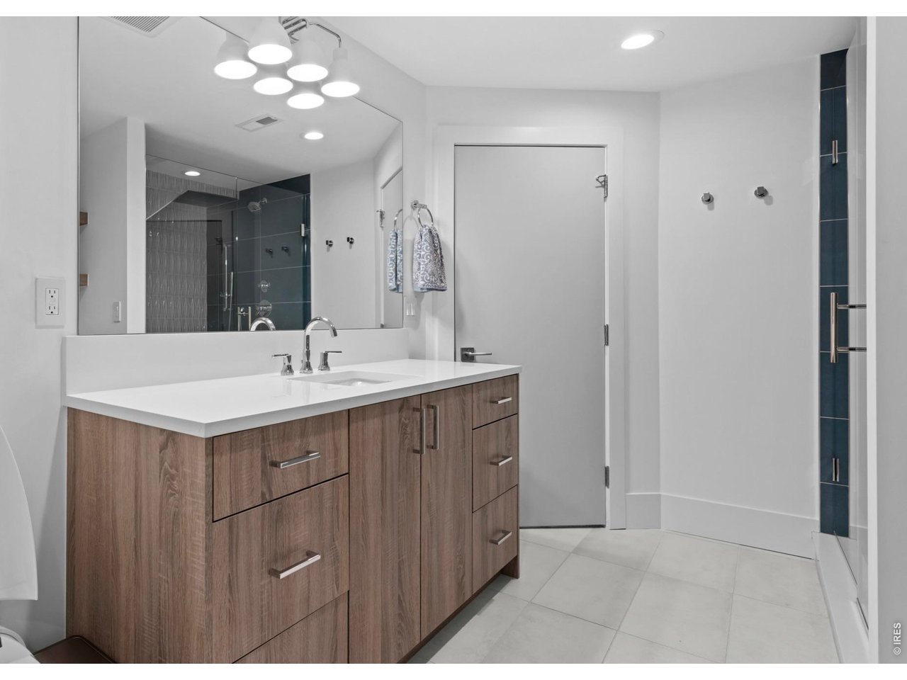 Lower Level Bathroom