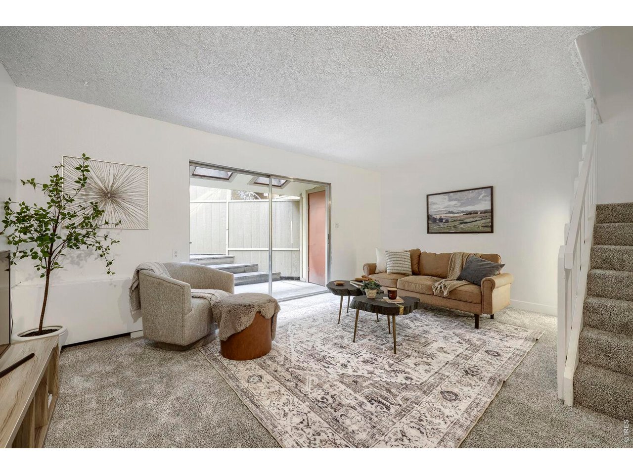 Living Room - Brand New Carpet