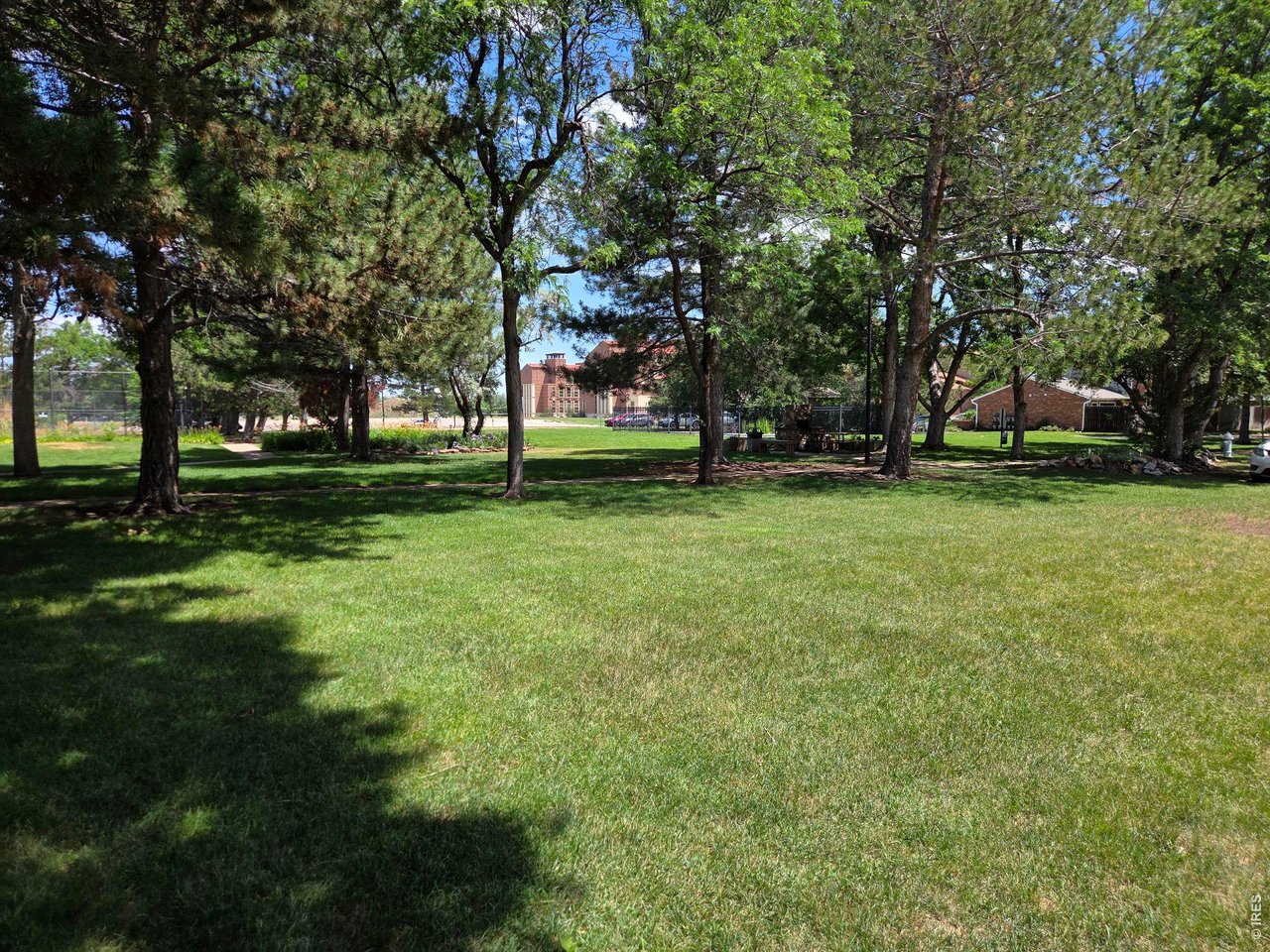 Park-like Grounds