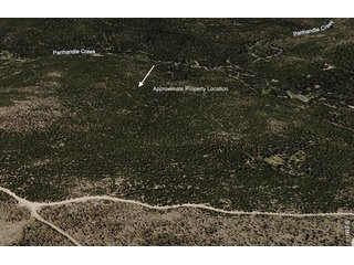 0 Forest Service 169 Lot #10 Rd Red Feather Lakes, CO 80545