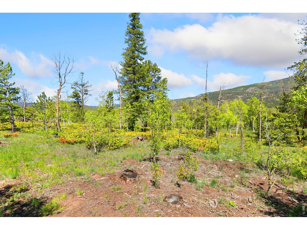 Property Photo 24 