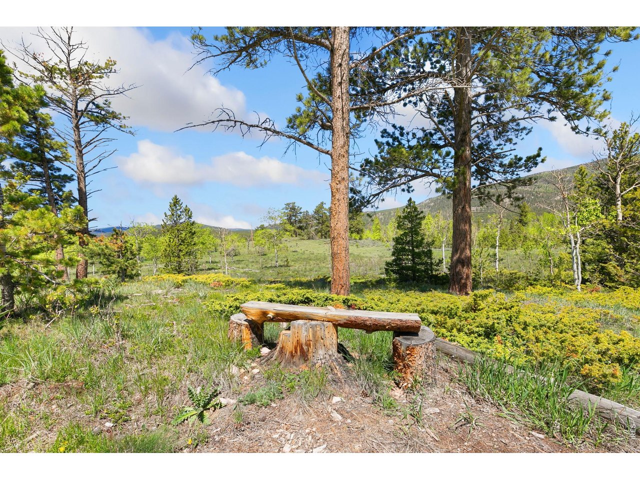 Property Photo 27 