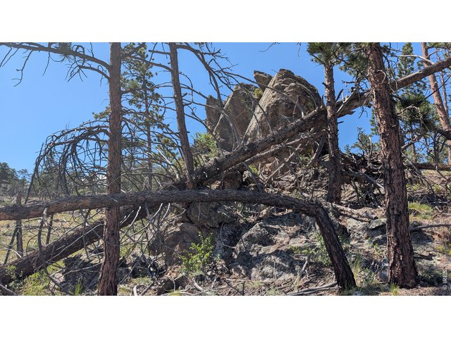 Property Photo 11 Rock outcropping