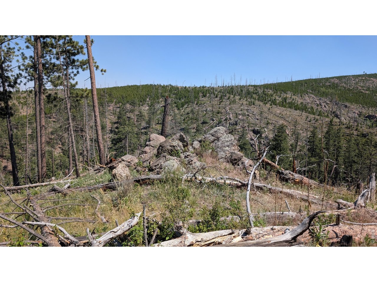 Property Photo 15 Rock outcropping