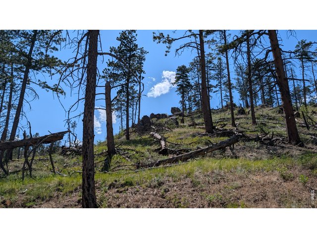 Property Photo 18 Looking up the mountain at some more rock outcroppings