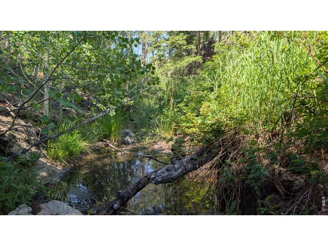 Property Photo 22 Seasonal Stream at the bottom of the valley