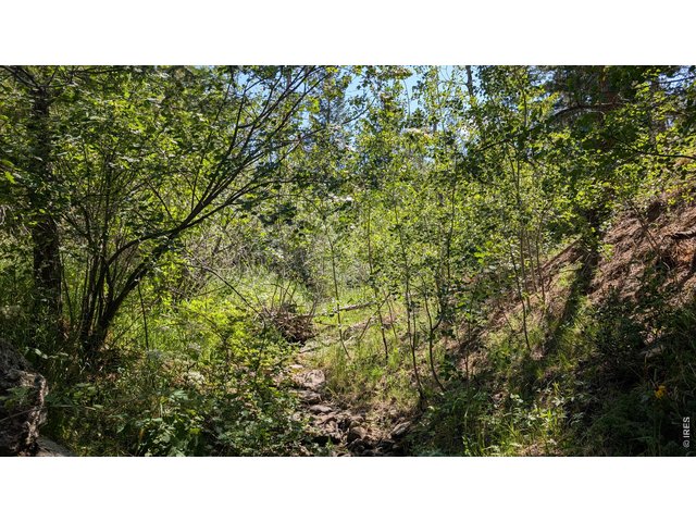 Property Photo 23 Looking up the stream