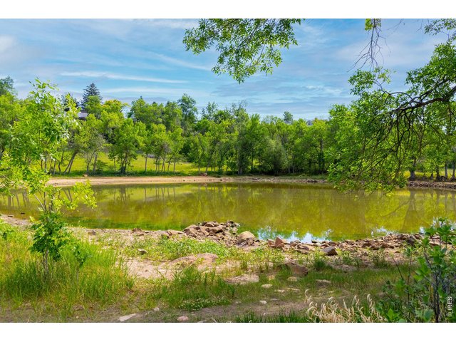 Property Photo 38 