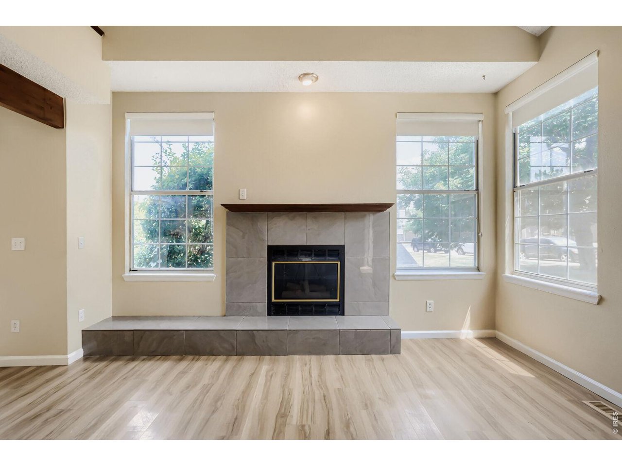 Living roomGas Fireplace