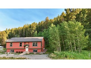 788 W 4th St Nederland, CO 80466