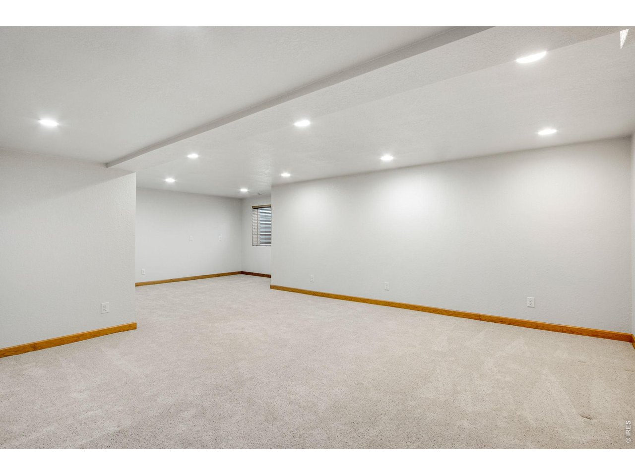Property Photo 40 Massive Finished Basement and Guest Suite!
