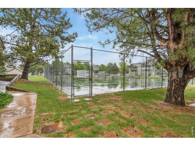 Property Photo 37 