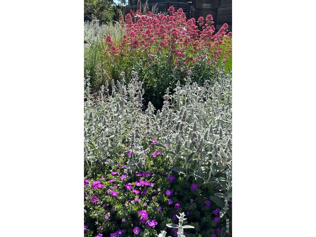 Property Photo 35 