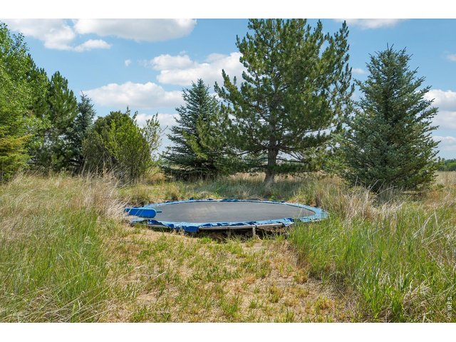 Property Photo 41 Trampoline area in the backyard
