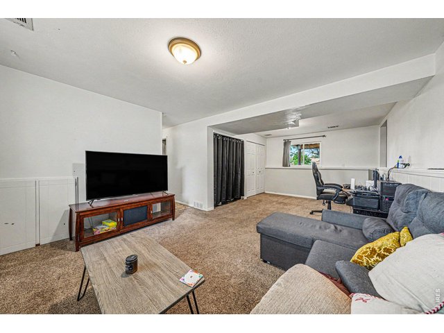 Property Photo 11 Lower Level living space