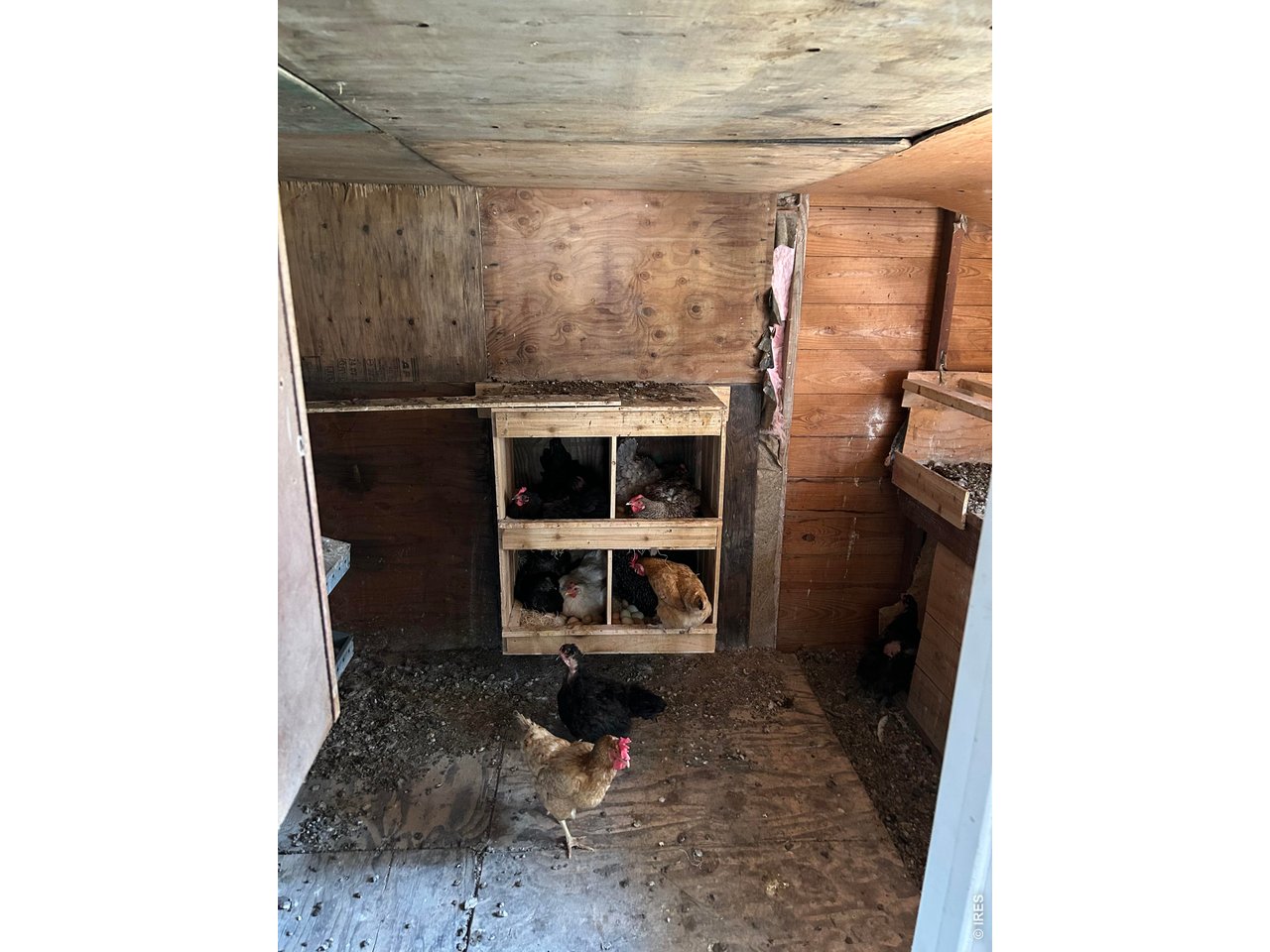 Property Photo 35 