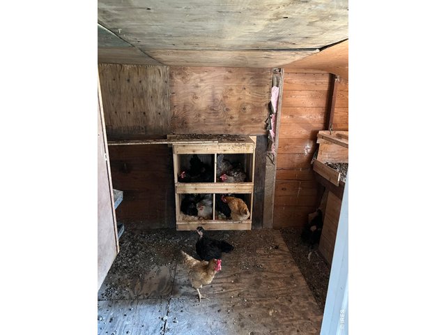 Property Photo 35 