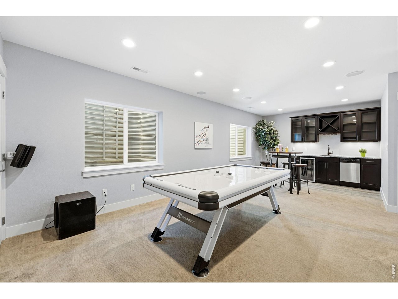 Large recreation room in basement complete with a wet bar, dishwasher, mini refrigerator