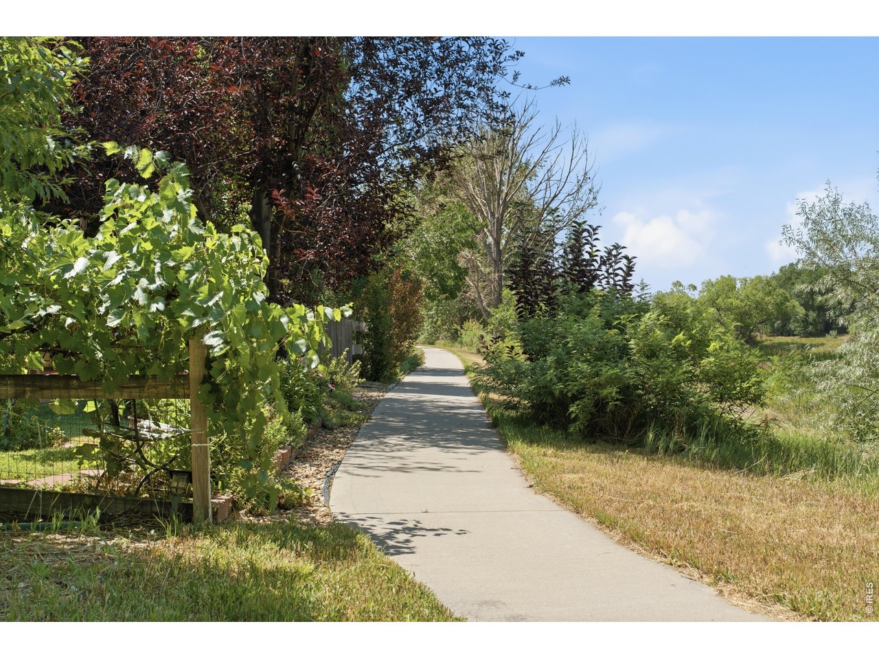 Property Photo 15 