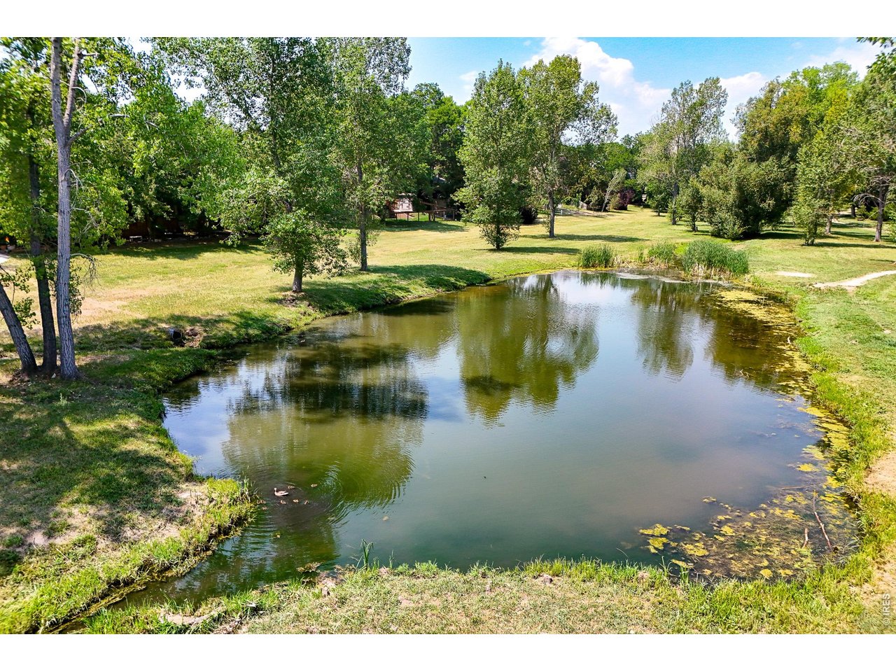 Property Photo 14 Trail next to house takes you into the community pond!