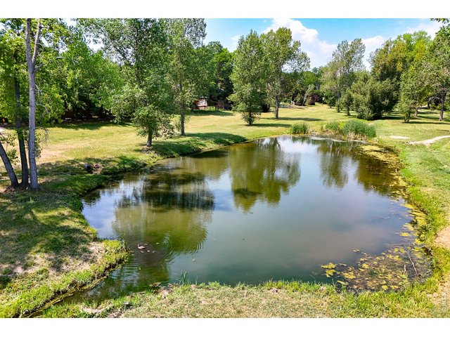 Property Photo 14 Trail next to house takes you into the community pond!