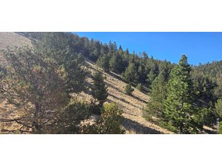 0 County Road 41g (Camero Road) Center, CO 81125