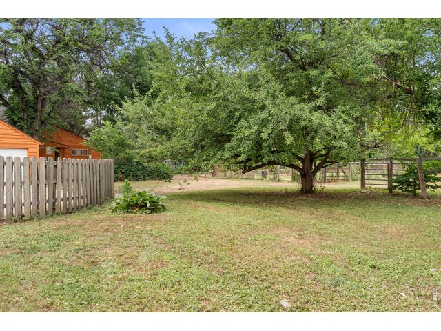 Property Photo 11 Yard area with Mackintosh Apple Tree