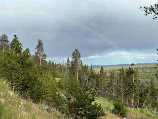 540 Elkridge Rd Red Feather Lakes, CO 80545