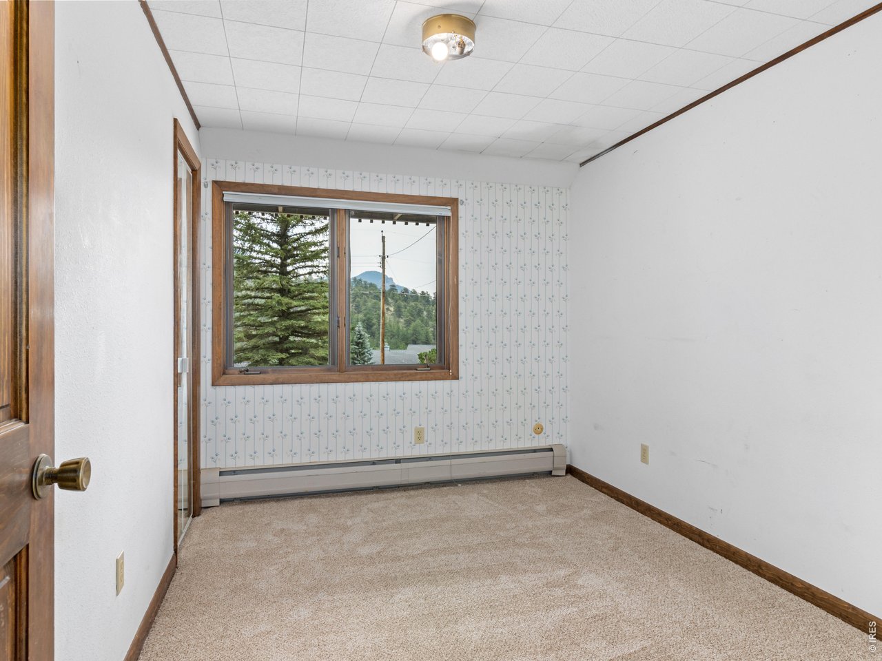 Property Photo 31 Bedroom 4 of 5, new carpeting