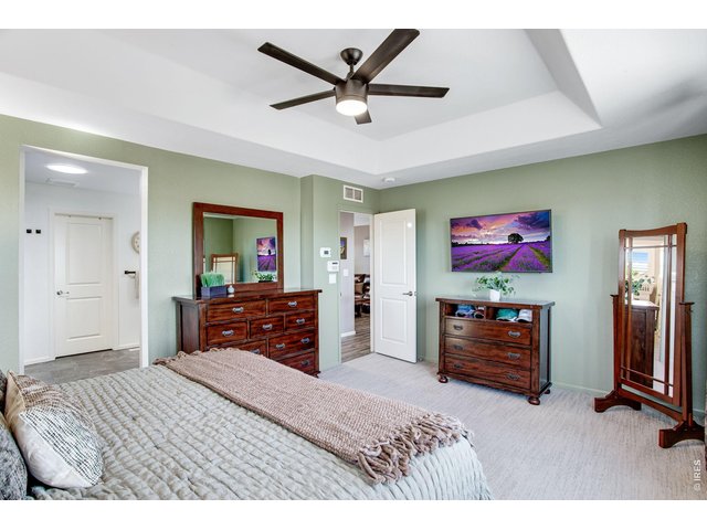 Property Photo 34 Tray ceiling and fan - flows right into the newly remodel primary bathroom 2025!