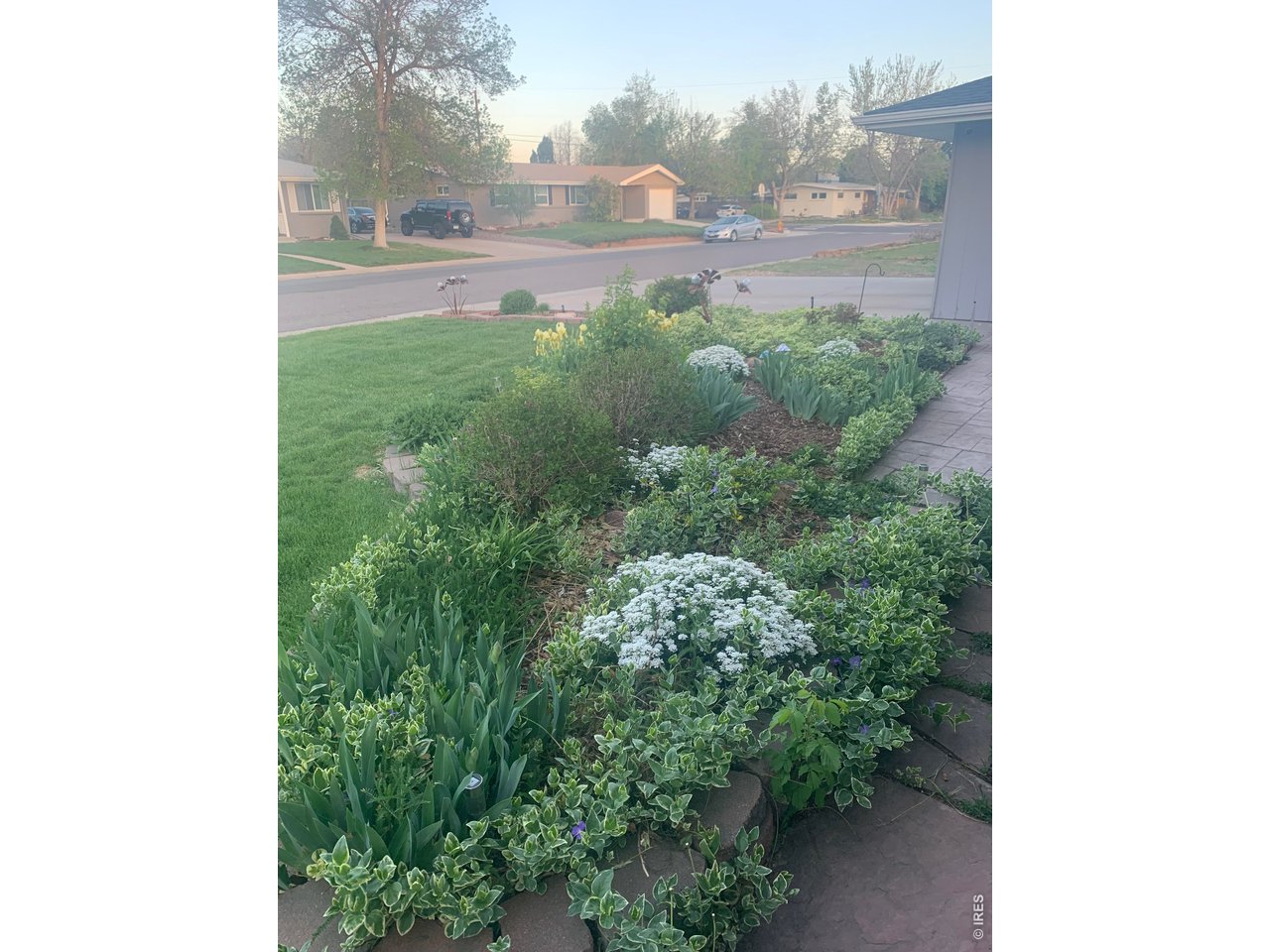 Property Photo 36 