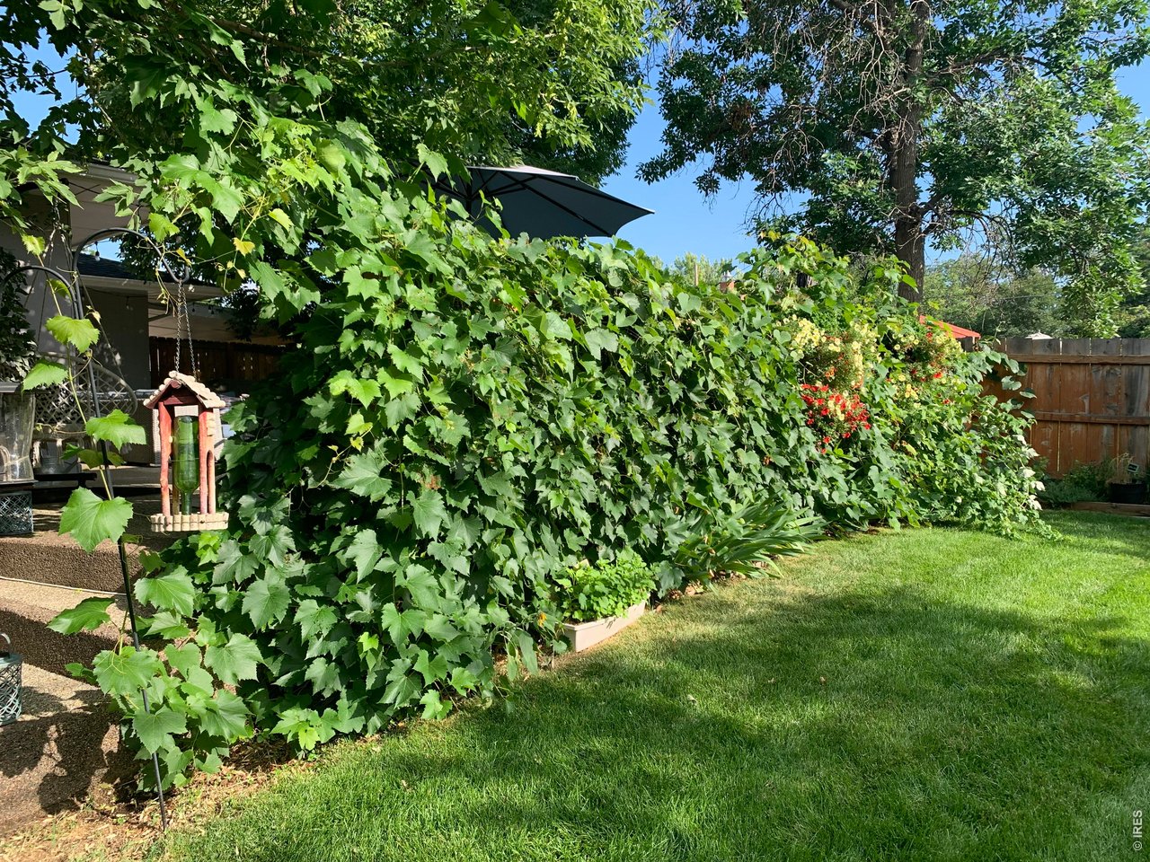 Property Photo 29 