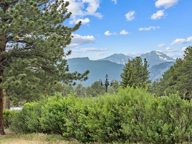 Property Photo 46 