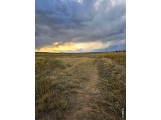 0 County Road 84 Fort Collins, CO 80524