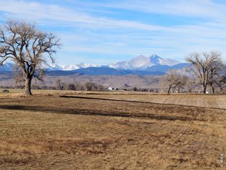1254 Burt Ave Berthoud, CO 80513