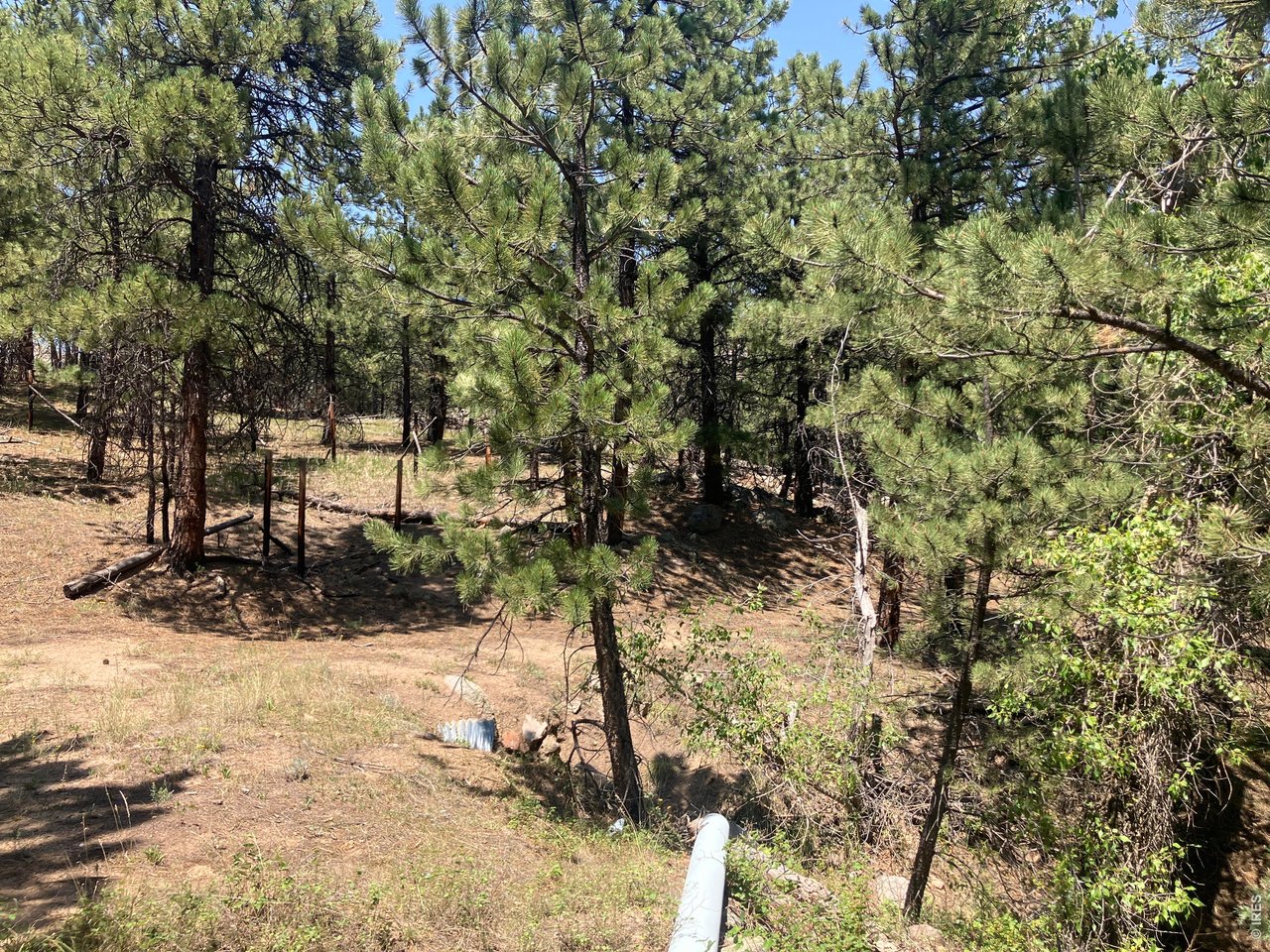 Property Photo 26 old mining road through property